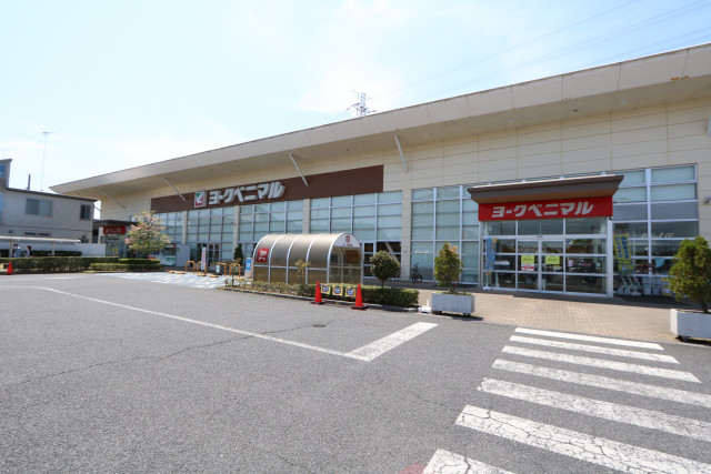 スーパー　ヨークベニマル簗瀬店（スーパー）まで800m