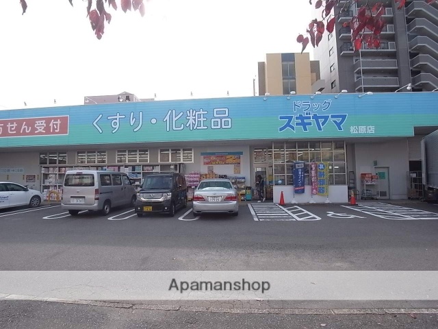 ドラックストア　ドラッグスギヤマ松原店（ドラッグストア）まで455m