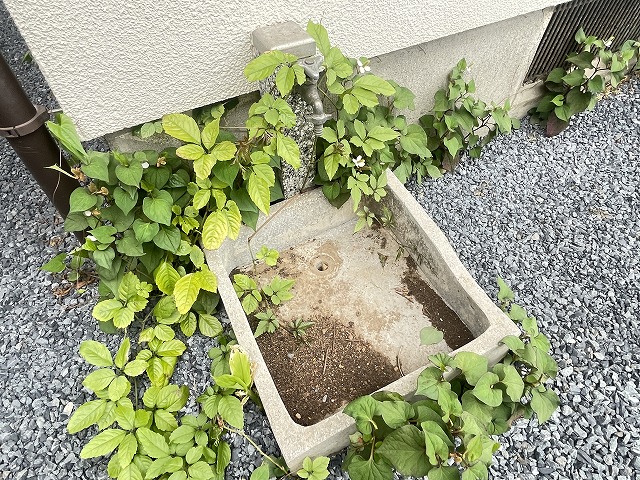 その他設備　敷地内外部に水道付