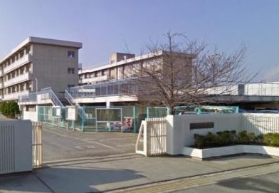 小学校　岡山市立芳泉小学校（小学校）まで704m