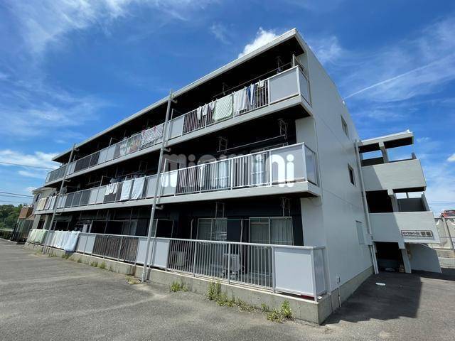 建物外観　２０２２／７　外壁塗装済み