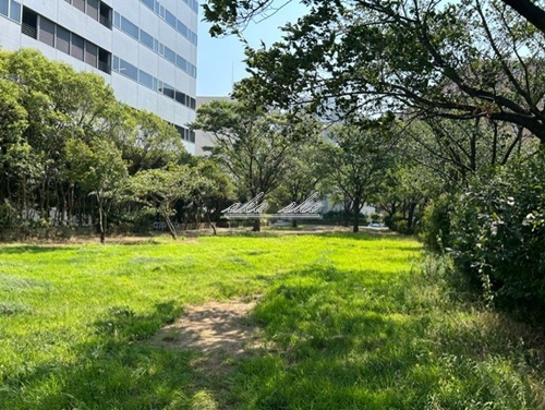 公園　新田間川緑地公園（公園）まで284m