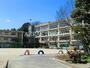 小学校　松戸市立小金小学校（小学校）まで609m