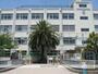 小学校　高槻市立芝生小学校（小学校）まで588m