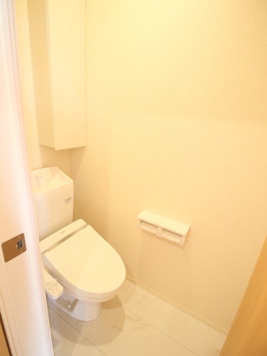 メゾンドプリュネBのトイレ写真