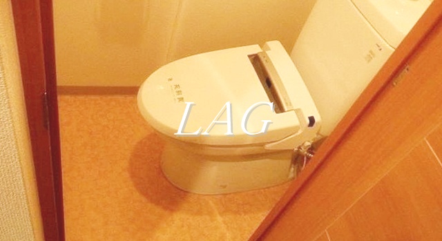 トイレ　トイレです。