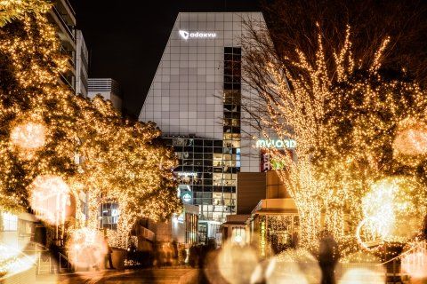 その他　新宿サザンテラスのイルミネーション 02（その他）まで425m