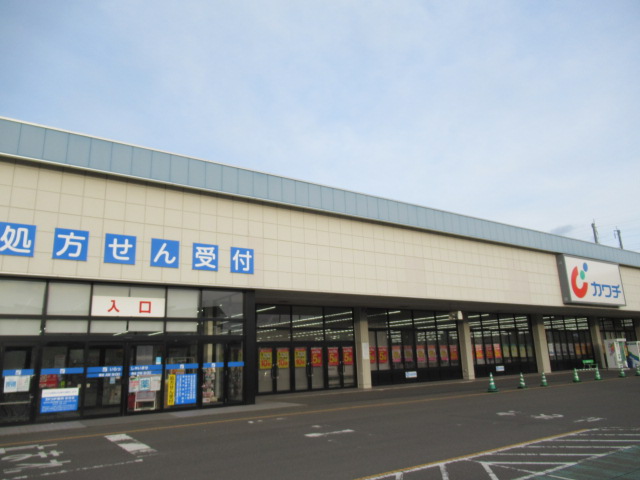 ドラックストア　カワチ薬品岩切店（ドラッグストア）まで2255m