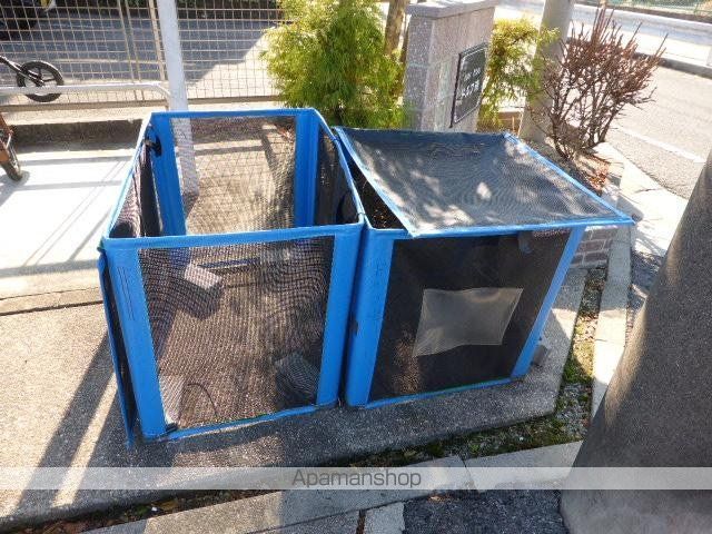 ドルフ鴻のその他写真