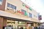 スーパー　ヨークマート妙蓮寺店（スーパー）まで650m