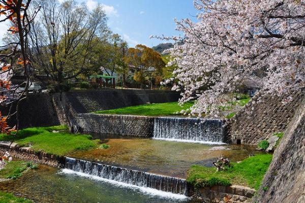 【芦屋市山芦屋町のマンションの公園】