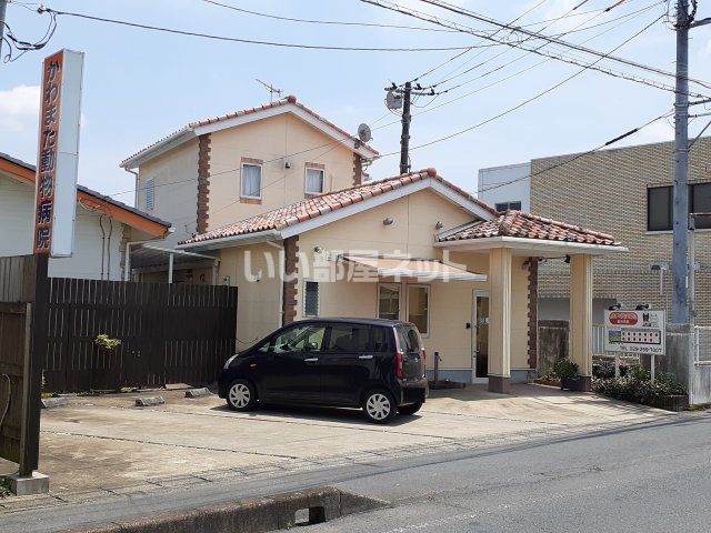 病院　かわまた動物病院（病院）まで569m