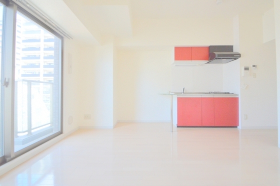 その他部屋・スペース　ＬＤＫ１１．２帖・白を基調とした明るいお部屋です。