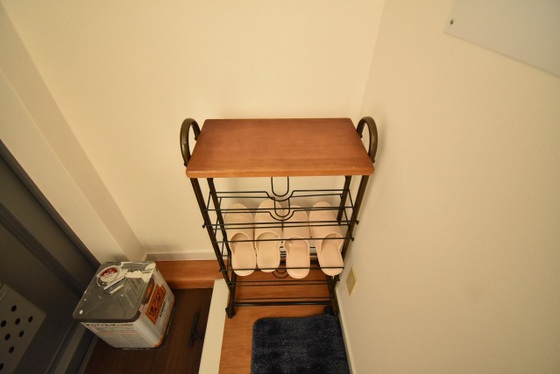 玄関　※他部屋の写真です。