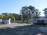 大学・短大　私立東海大学海洋学部（大学・短大）まで961m