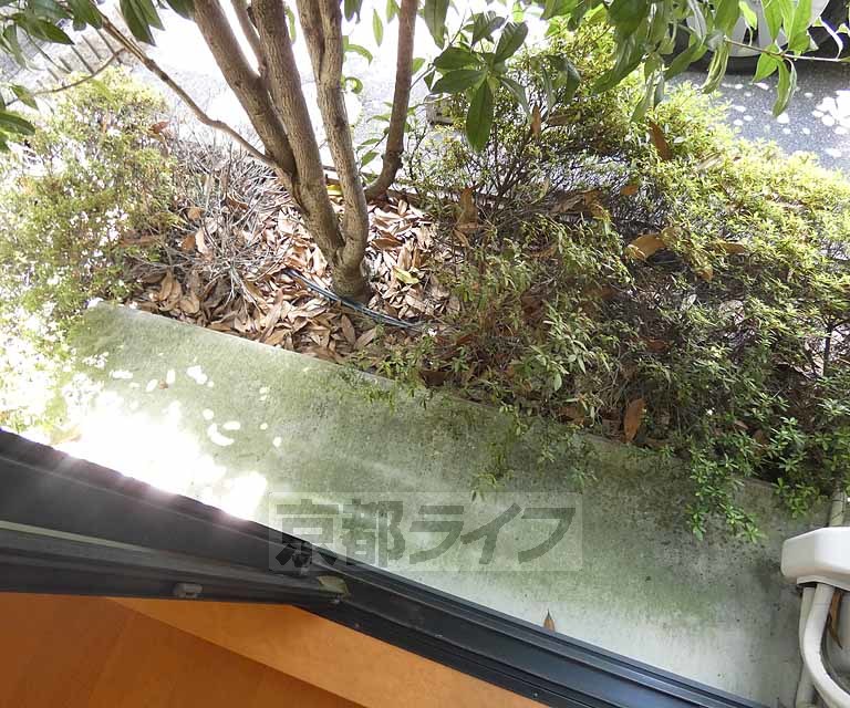 バルコニー　バルコニです。