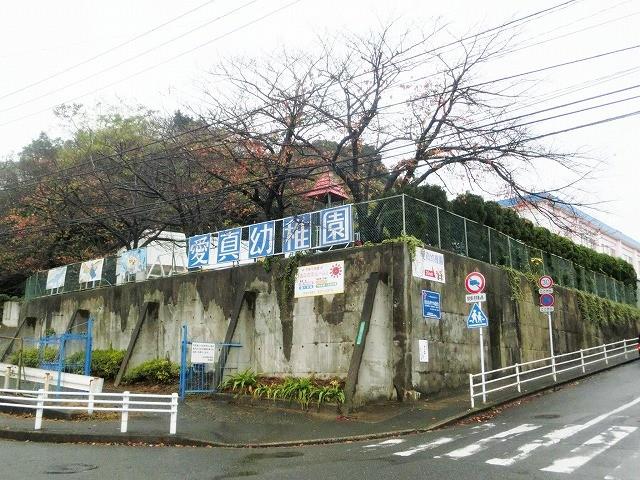 幼稚園・保育園　愛真幼稚園（幼稚園・保育園）まで590m