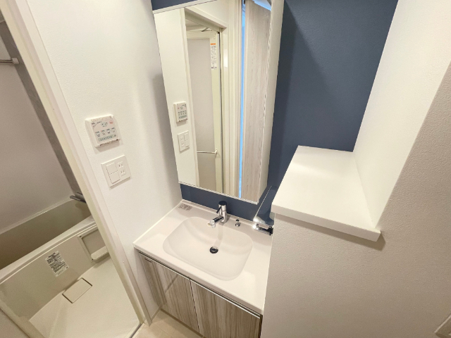 洗面設備　２０３号室の写真です。