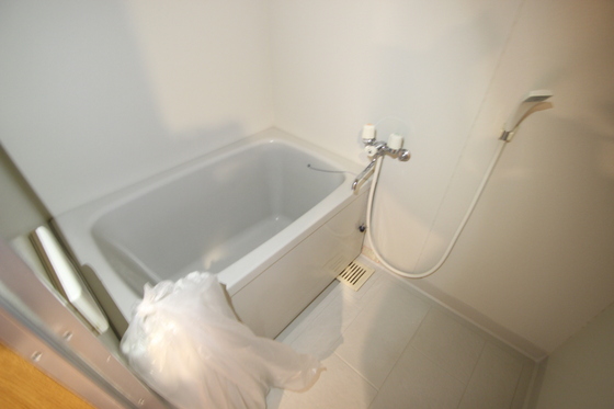 バス・シャワールーム　※ほかの部屋の写真です。