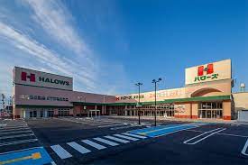 スーパー　ハローズ 東古松店（スーパー）まで316m