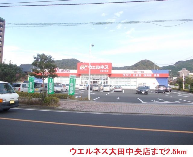 ドラックストア　ウエルネス大田中央店（ドラッグストア）まで2500m