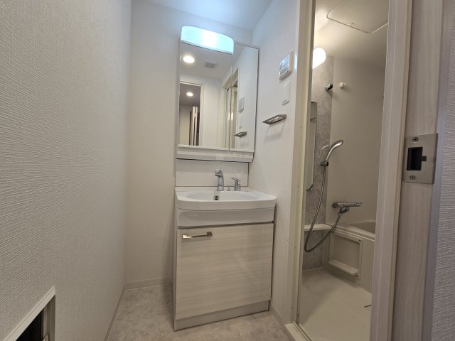 洗面設備　エスリード ザ・レガリア新栄ALTAIER