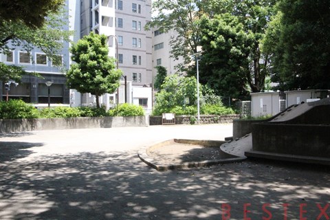 公園　お茶の水公園（公園）まで204m