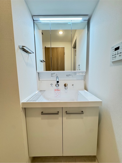 洗面設備　たっぷり収納のシャワー付き洗面台※写真はＢ２タイプです