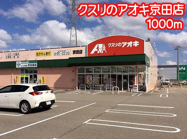 ドラックストア　クスリのアオキ京田店（ドラッグストア）まで1000m