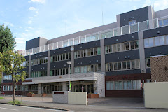 小学校　札幌市立北九条小学校（小学校）まで382m