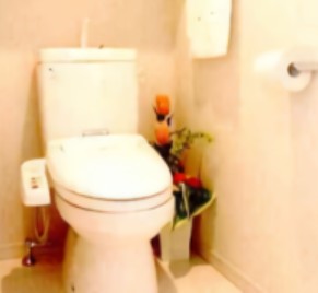 トイレ　別号室参照