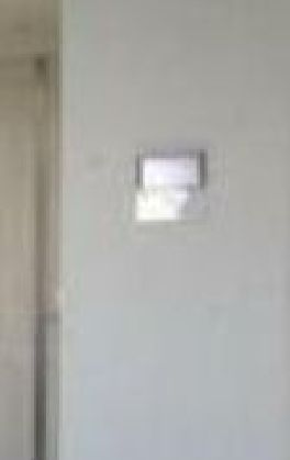 セキュリティ　ベルグレードＮＦ