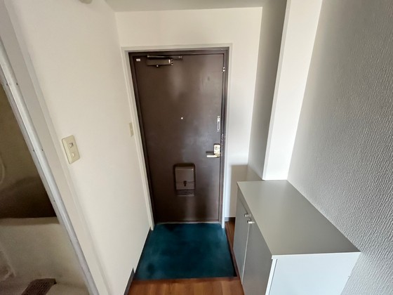 玄関　※別部屋の写真です