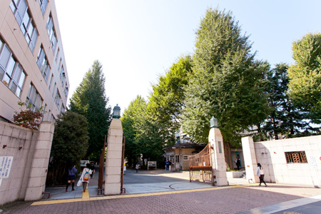 小学校　国立お茶の水女子大学附属小学校（小学校）まで149m