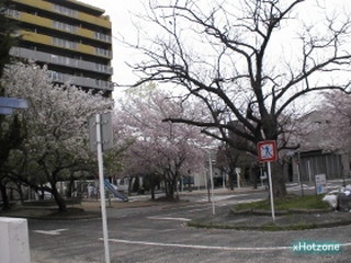 公園　御厨北公園（公園）まで523m
