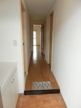 玄関　玄関廊下