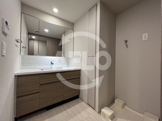 洗面設備　ブランズ大阪松屋町　洗面脱衣所