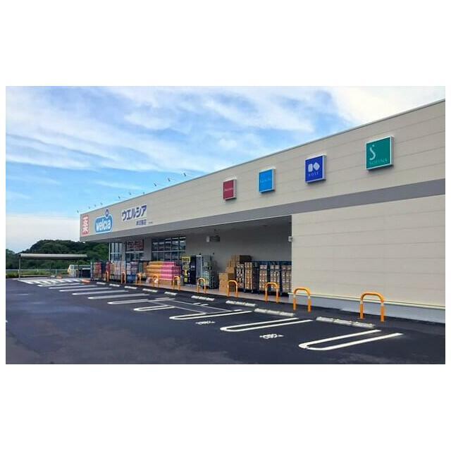ドラックストア　ウエルシア岬淡輪店（ドラッグストア）まで1221m