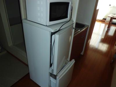その他　冷蔵庫と電子レンジ付。
