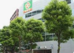 スーパー　ライフ篠崎店（スーパー）まで202m