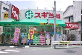 ドラックストア　スギ薬局武蔵小山店（ドラッグストア）まで674m