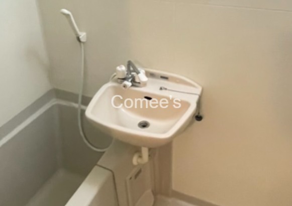 洗面設備　洗面台はバスルームに設置されています