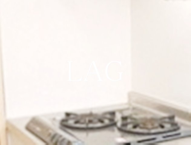 その他設備　2口コンロです。