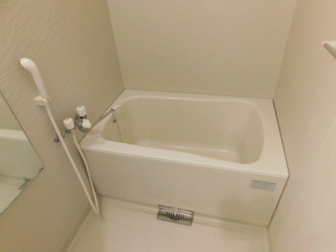 バス・シャワールーム　※内装写真は同建物内他部屋