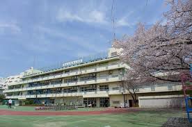 小学校　青南小学校（小学校）まで460m