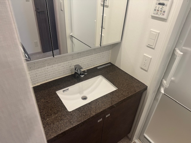 洗面設備　別部屋参考写真
