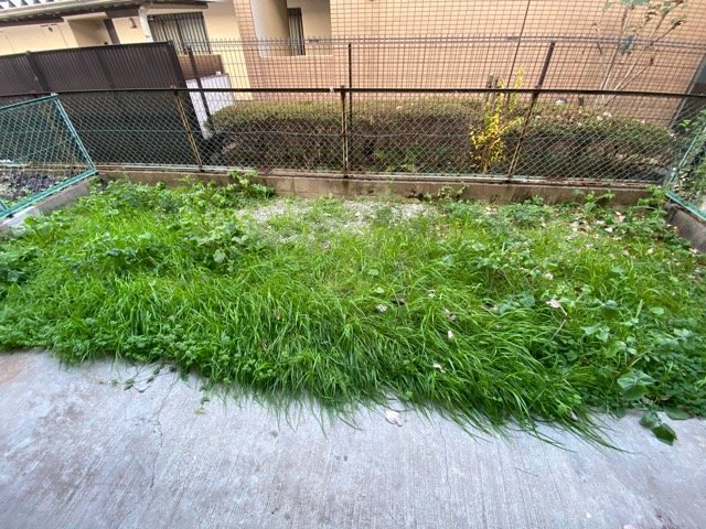 庭