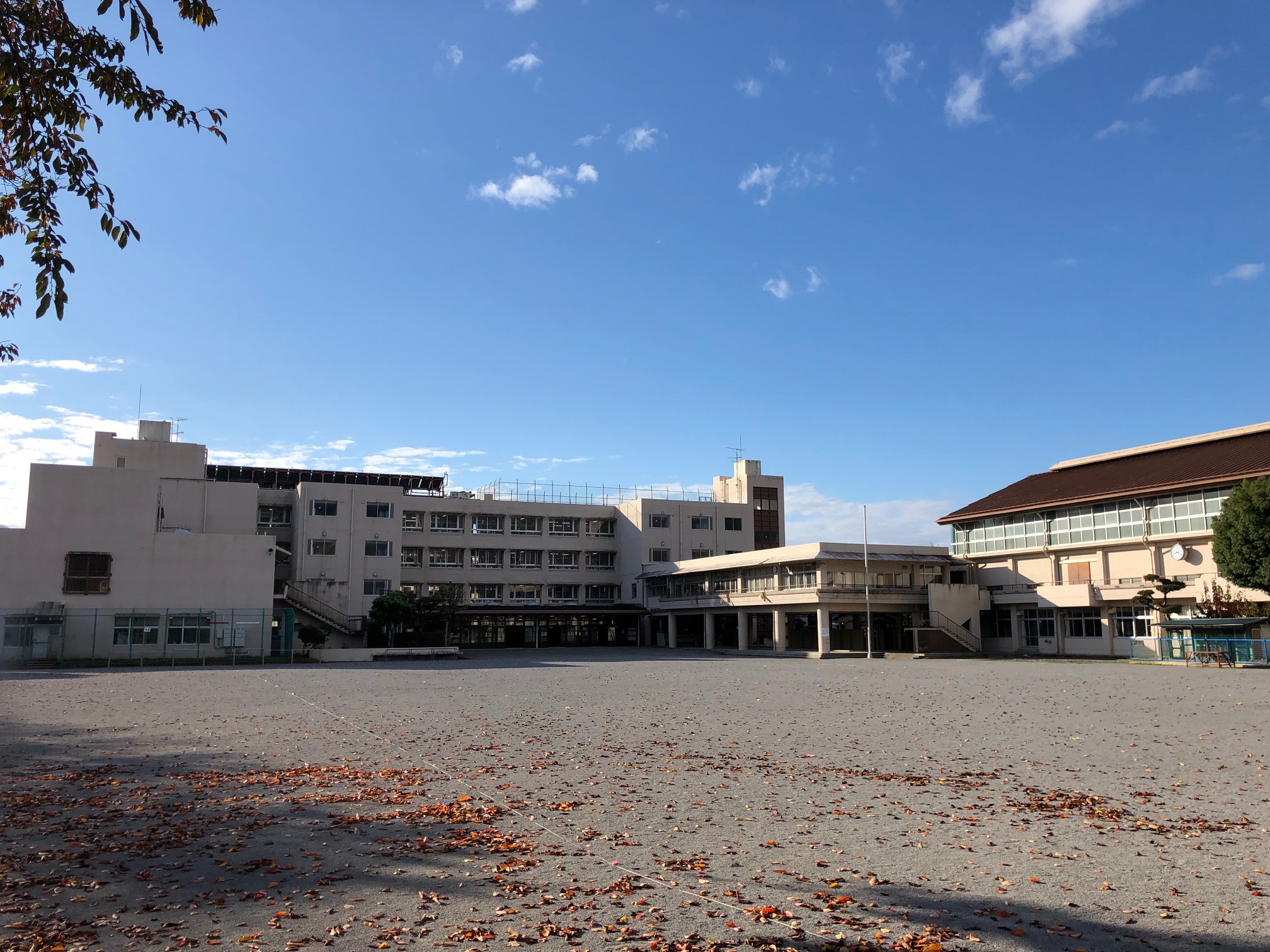 小学校　秦野市立堀川小学校（小学校）まで495m