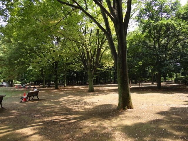 公園　公園（公園）まで550m