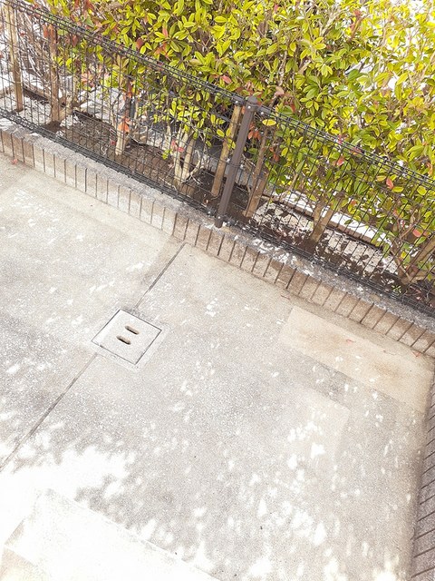 庭